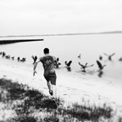 Fernando Morales 115