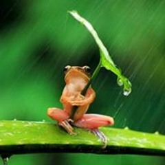 Laura Gabriela Muñoz