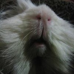 Christian Sanchez 176