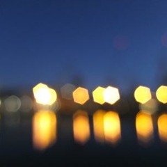 To The Bone (Mirel Wagner)