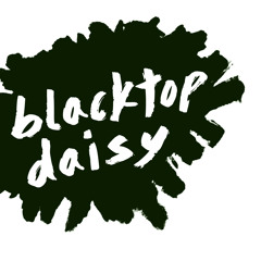 Blacktop Daisy