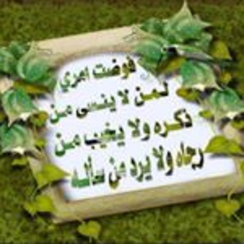Mohamed Elgabry 8’s avatar