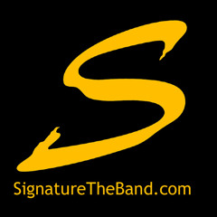 SignatureTheBandChicago
