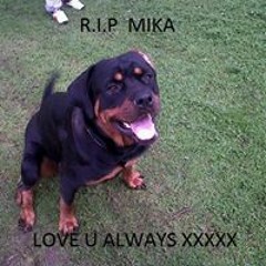 Phillip DK Avfc Charles