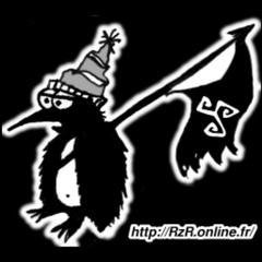 www.rzr.online.fr