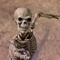 pigman08