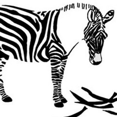 jules_loves_zebras_1