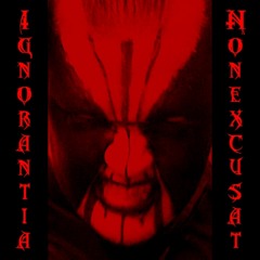 IGNORANTIA NON EXCUSAT