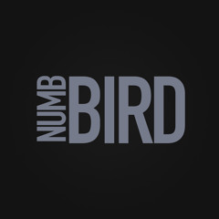 Numb  Bird