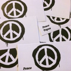 Peace - A Cat Born Fresh