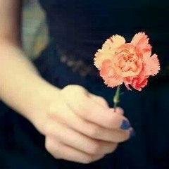Aya Abass ♪♫