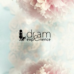 Dream.Experience