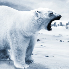 Polarbit