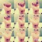 user481667675
