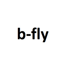 bFly