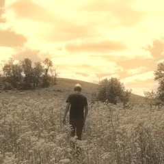 ( now on youtube under ALEX PULUSO )