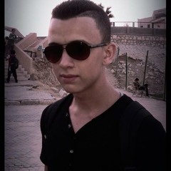 Bark Cat Bark - Iceland