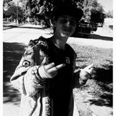 Wellington Yakuza Rpr