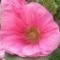 michaelt_2612