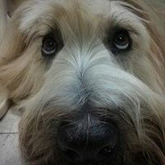 Nichole Marie Giannetti