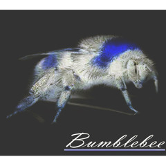 By Bumblebee