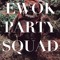 Ewok Party Squad