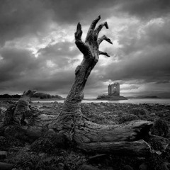 St. Louis Paranormal Team