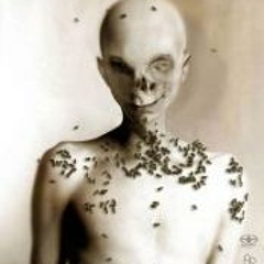 pechesdon7