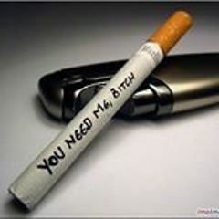 Fady Moh'd Bahgat