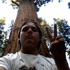 Reese Mitchell Tolrud