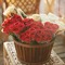zain_98