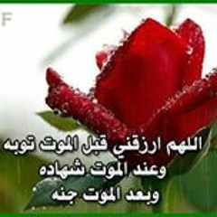 Rezk Nafea