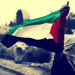 Ahmed Mohamed