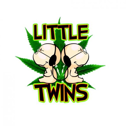 LITTLE TWINS PowaFlowa’s avatar