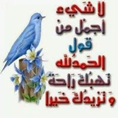 Stream Marwa Salama 18 music | Listen to songs, albums, playlists ...