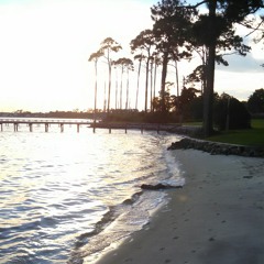 ryland95