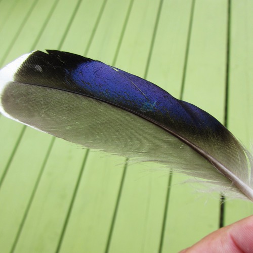 03 Across the Universe (Partout Dans l'Univers)