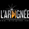 L'Araignée, la radio