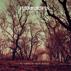 Puerkoespin