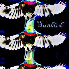 Sunbird Music