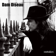DamOiseau