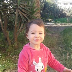 user275053558