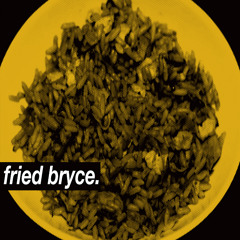 fried bryce.