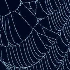 web weaver