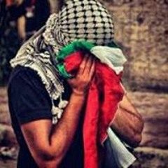 Gamal Eldeeb 2