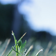 Eerie Visions and Deadly Predictions