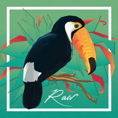 Raw Musique
