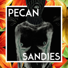 thePecanSandies