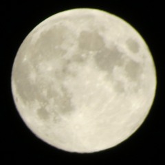 Doublewide Publishing