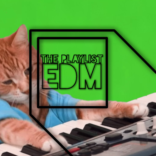 Skrillex - Ruffneck VIP (Alvin Risk Remix)